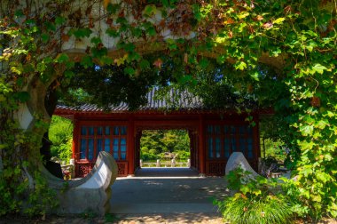 Wuhan, Hubei 'deki Doğu Gölü Turizm Manzarası