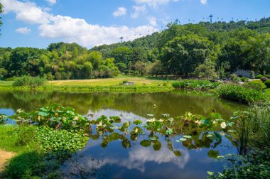 Wuhan, Hubei 'deki Doğu Gölü Turizm Manzarası