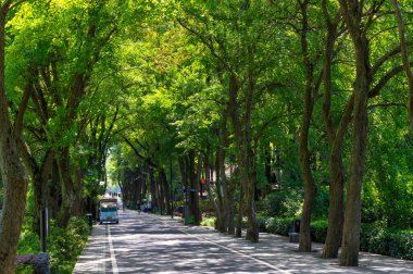 Wuhan, Hubei 'deki Doğu Gölü Turizm Manzarası