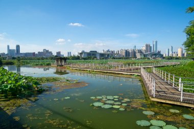 Hubei Wuhan yaz şehri gökyüzü manzarası