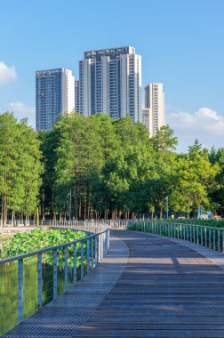 Hubei Wuhan yaz şehri gökyüzü manzarası