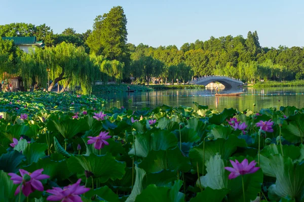 Paisaje Verano East Lake Tourism Scenic Área Wuhan Hubei — Foto de Stock
