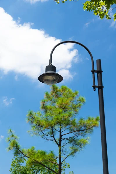 Zomer Landschap Van East Lake Toerisme Scenic Area Wuhan Hubei — Stockfoto