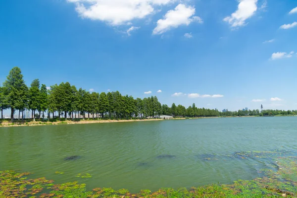 Paesaggio Estivo East Lake Tourism Scenic Area Wuhan Hubei — Foto Stock