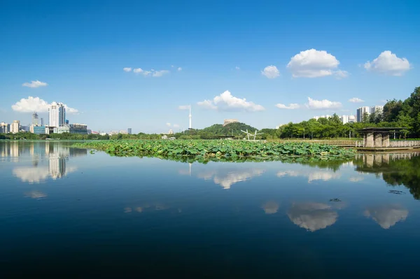 Hubei Wuhan Zomer Stad Skyline Landschap — Stockfoto