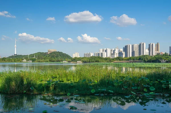 湖北武漢夏の都市スカイラインの風景 — ストック写真