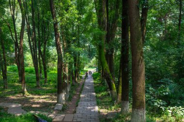 Xiangyang, Hubei, Çin 'deki Gulongzhong Sahne Bölgesi Yaz Manzarası