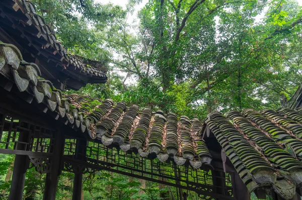 Summer scenery of Gulongzhong Scenic Area in Xiangyang, Hubei, China