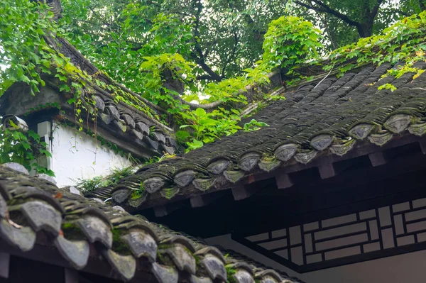 Xiangyang, Hubei, Çin 'deki Gulongzhong Sahne Bölgesi Yaz Manzarası