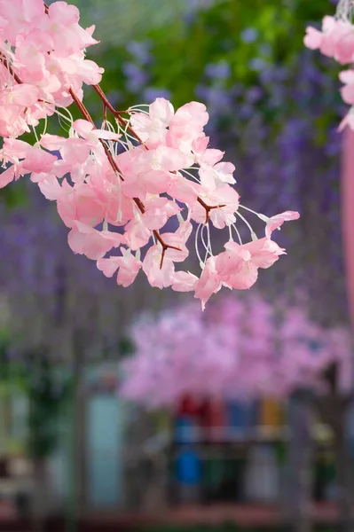 Landschaft Des Donghu Eye Playground Donghu Scenic Area Wuhan Hubei — Stockfoto