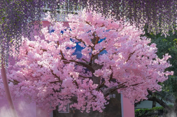 Donghu Manzaralı Oyun Sahası Wuhan Hubei Çin — Stok fotoğraf