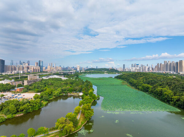 Ориентировочный пейзаж Уханя