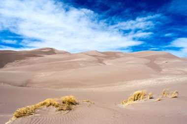 Great Sand Dunes Ulusal Parkı ve koruma, Colorado doğa ve peyzaj