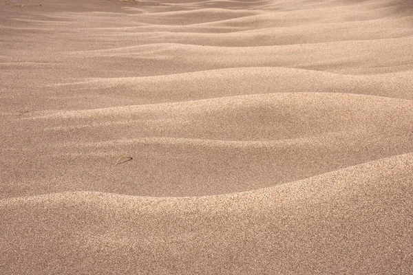 Great Sand Dunes National Park Preserve Colorado Nature Landscape Outdoors — Stock Photo, Image