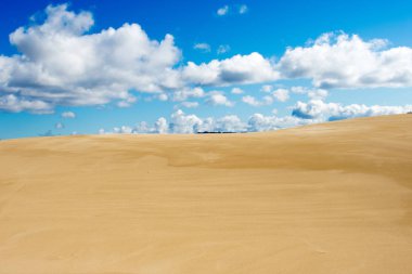 Oregon kum tepeleri, Doğa ve peyzaj 