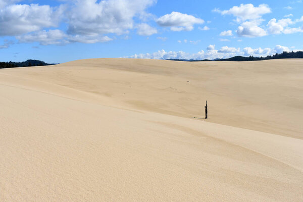 Oregon Sand Dunes, Nature and Landscape 