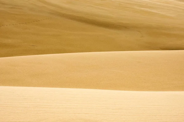 Dune Sabbia Dell Oregon Natura Paesaggio — Foto Stock