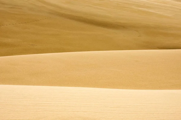 Oregon Sand Dunes Nature Landscape — Stock Photo, Image