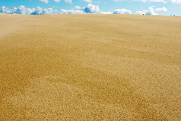 Oregon Dunas Areia Natureza Paisagem — Fotografia de Stock