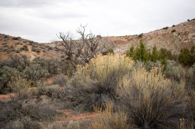 Peyzaj, Arches Ulusal Parkı, Moab, Utah.