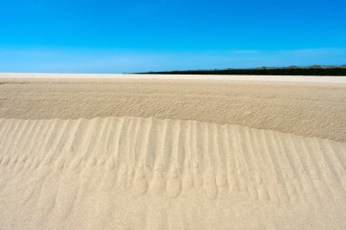 Pasifik, Batı kıyısı, Oregon kum tepeleri, Doğa ve manzara