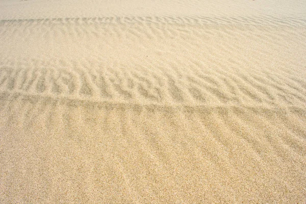 Pacifique Côte Ouest Dunes Sable Oregon Nature Paysage — Photo