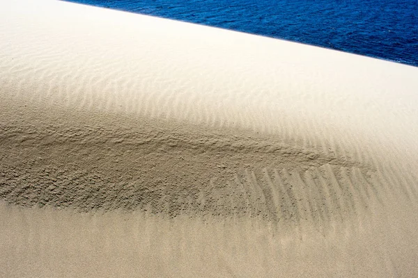 Pacific West Coast Oregon Sand Dunes Nature Landscape — Stock Photo, Image