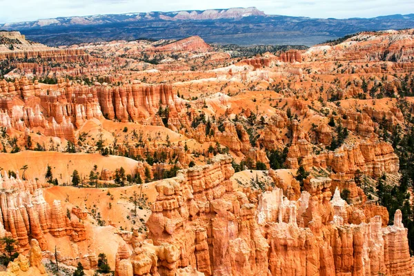 Bryce Kanyonu Ulusal Parkı Dağların Kaya Oluşumlarının Görünümü Utah — Stok fotoğraf