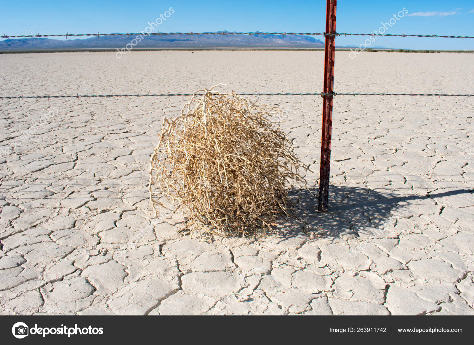 Tumbleweed Hot Dry Desert Stock Photo by ©jeremyn 263911742