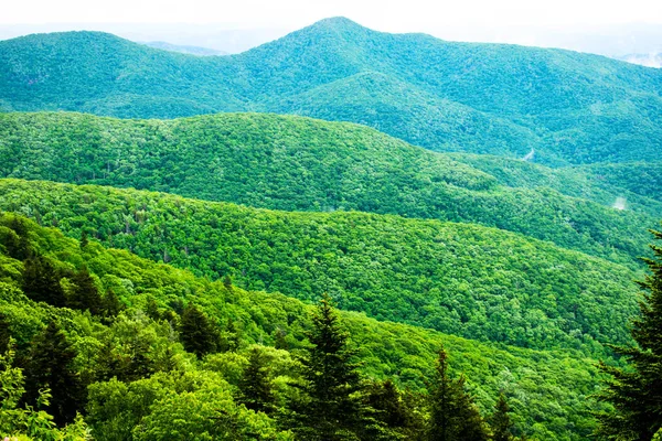 Great Smoky Mountains National Park Foggy Rolling Hills Árvores Verdes — Fotografia de Stock