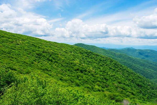 Great Smoky Mountains National Park, Foggy Rolling Hills and Green Trees  