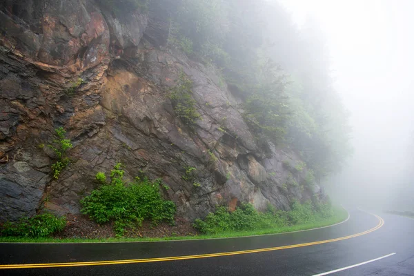 Parc National Des Monts Great Smoky Collines Accidentées Arbres Verts — Photo