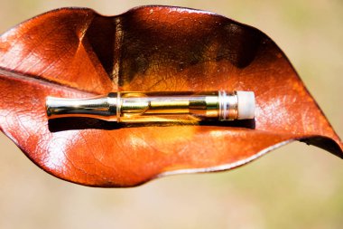 Vaping, THC and CBD, Vape Cannabis and Marijuana Lifestyle, Outdoors, Nature