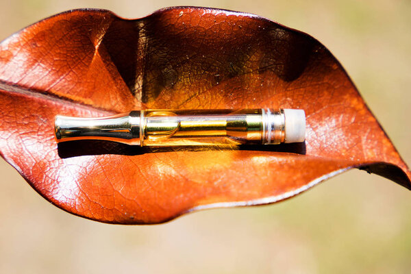 Vaping, THC and CBD, Vape Cannabis and Marijuana Lifestyle, Outdoors, Nature