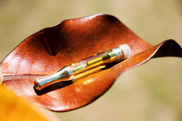 Vaping, THC and CBD, Vape Cannabis and Marijuana Lifestyle, Outdoors, Nature