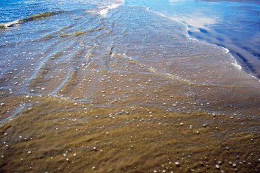 Okyanus, Kum Plajı ve Su 