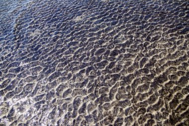 Okyanus ve Plaj, Kum ve Deniz Suyu 