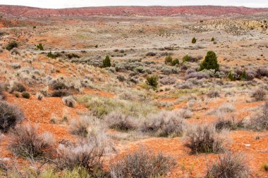 Rocky Vadisi 'nin terk edilmiş bölgesi.