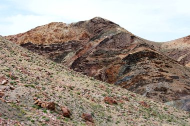 Bitkilerle kaplı tepe manzarası