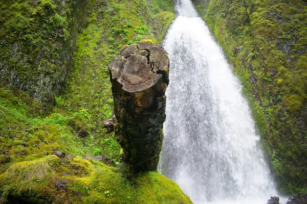 Wahkeena Cai Área Columbia River Gorge National Scenic Area — Fotografia de Stock