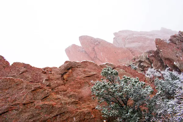 Árboles Desnudos Cubiertos Nieve Sobre Fondo Rocas Rojas —  Fotos de Stock