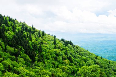 uzun manzaralı doğal yeşil tepeler ve dağlar, Appalachian dağ