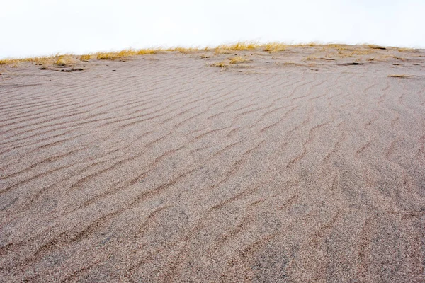 Torrt Gräs Växer Sand Vid Molnigt Dag Death Valley National — Stockfoto