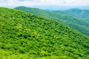 uzun manzaralı yeşil tepeler ve dağlar, Appalachian dağ