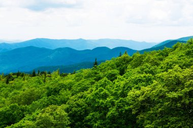 uzun manzaralı yeşil tepeler ve dağlar ile güzel manzara, Appalachian dağ