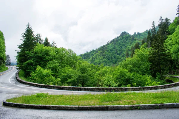 Asphaltstraße Durch Grüne Berge — Stockfoto