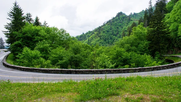 Asphaltstraße Durch Grüne Berge — Stockfoto