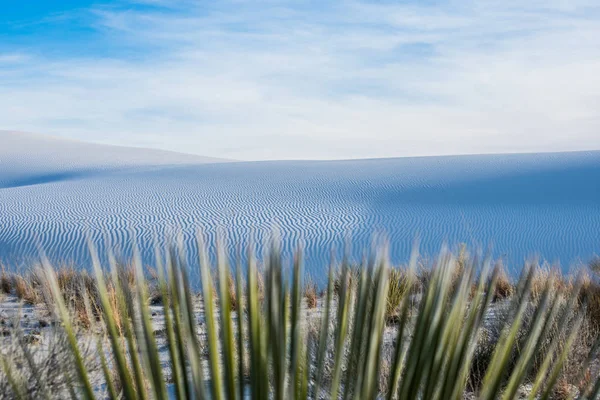 沙丘上的纹理砂面 — 图库照片