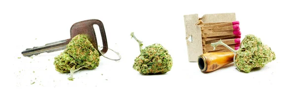 Conceptuele Samenstelling Van Marihuana Geïsoleerd Witte Achtergrond — Stockfoto