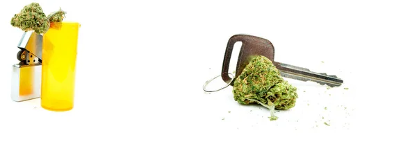 Conceptual Composition Marijuana Isolated White Background — Stock Photo, Image